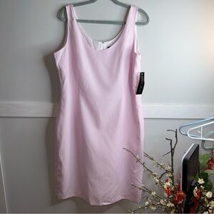 NWT Albert Nipon Pink and White Striped Garment